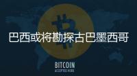巴西或?qū)⒖碧焦虐湍鞲鐬呈蛥^(qū)塊