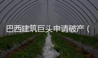 巴西建筑巨頭申請破產（圖）