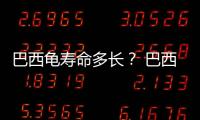 巴西龜壽命多長？ 巴西龜壽命一般多長