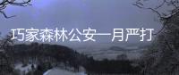巧家森林公安一月嚴(yán)打 查處6起非法移植野生樹(shù)木案