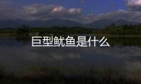 巨型魷魚是什么
