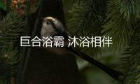 巨合浴霸 沐浴相伴