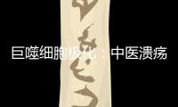 巨噬細胞極化：中醫潰瘍性結腸炎的潛在治療靶點