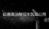 巨鹿高油酸花生區域公用品牌發布