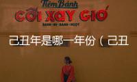 己丑年是哪一年份（己丑年是哪一年）