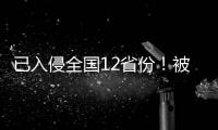 已入侵全國12省份！被叮咬后恐有致命危險