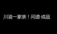 川渝一家親！問道·成品融合&定制升級（重慶）研討會圓滿舉行