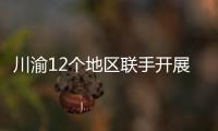 川渝12個地區聯手開展消費維權能力提升培訓