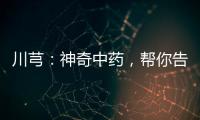 川芎：神奇中藥，幫你告別疲憊與不適！