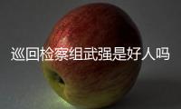 巡回檢察組武強是好人嗎 巡回檢察組武強結局如何