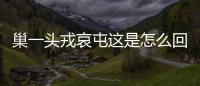 巢一頭戎哀屯這是怎么回事?