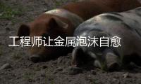 工程師讓金屬泡沫自愈 適用于車門組件等