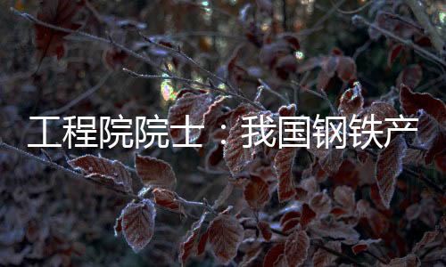 工程院院士：我國鋼鐵產能前20位城市無一空氣達標