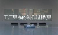 工廠果凍的制作過程(果凍背包的制作過程)