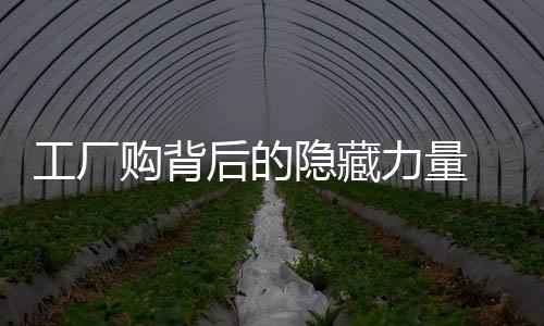 工廠購背后的隱藏力量 ——華誼家具十月二十九日“萬人搶工廠”活動