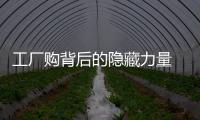 工廠購背后的隱藏力量 ——華誼家具十月二十九日“萬人搶工廠”活動