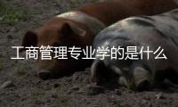 工商管理專業(yè)學(xué)的是什么？ 工商管理專業(yè)介紹