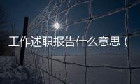 工作述職報告什么意思（述職報告什么意思）