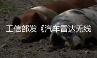 工信部發《汽車雷達無線電管理暫行規定》