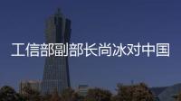 工信部副部長尚冰對中國電信明年工作提出四點要求