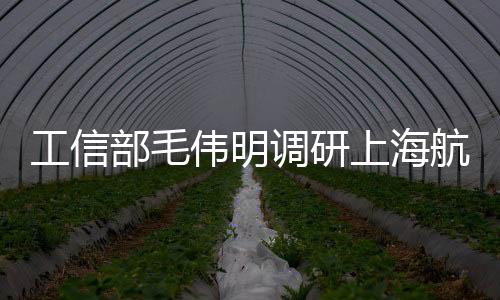 工信部毛偉明調研上海航空發動機等高端裝備制造業
