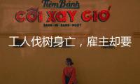 工人伐樹身亡，雇主卻要其他工友賠錢？法院：駁回！