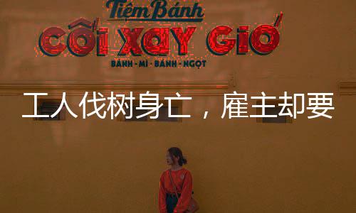 工人伐樹身亡，雇主卻要其他工友賠錢？法院：駁回！