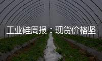 工業(yè)硅周報(bào)：現(xiàn)貨價(jià)格堅(jiān)挺，硅價(jià)寬幅震蕩