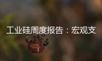工業(yè)硅周度報(bào)告：宏觀支撐有限，工業(yè)硅再觸新低