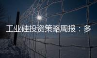 工業硅投資策略周報：多晶硅需求釋放，硅價偏強運行