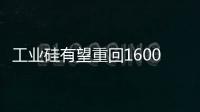 工業(yè)硅有望重回16000元/噸以上