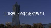 工業農業雙輪驅動 唱響鄉村振興“新”贊歌