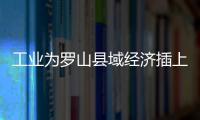 工業為羅山縣域經濟插上騰飛翅膀,行業資訊