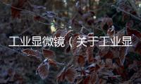 工業(yè)顯微鏡（關(guān)于工業(yè)顯微鏡的基本情況說(shuō)明介紹）