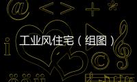 工業風住宅（組圖）