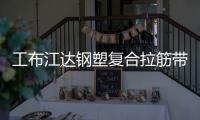 工布江達鋼塑復合拉筋帶30020C性能