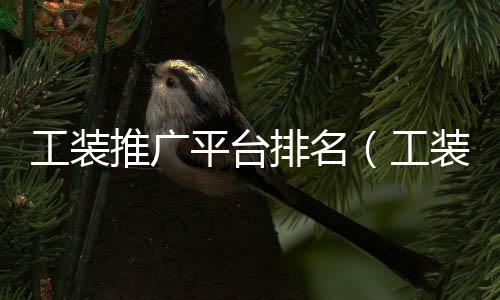 工裝推廣平臺排名（工裝網站平臺）