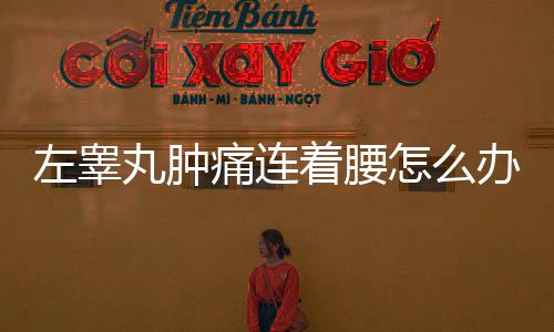 左睪丸腫痛連著腰怎么辦
