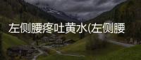 左側腰疼吐黃水(左側腰部疼痛伴隨惡心嘔吐)