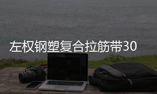 左權(quán)鋼塑復(fù)合拉筋帶30020B指標(biāo)