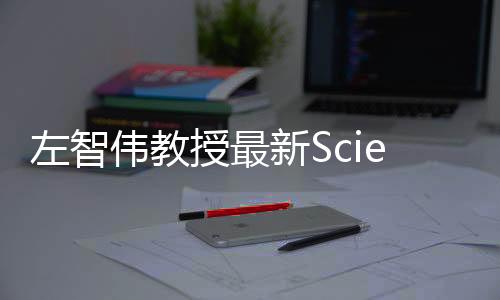 左智偉教授最新Science！ – 材料牛