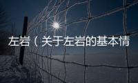 左巖（關于左巖的基本情況說明介紹）