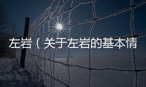 左巖（關于左巖的基本情況說明介紹）