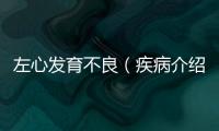 左心發育不良（疾病介紹及治療方案）