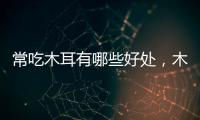 常吃木耳有哪些好處，木耳這樣做，對減肥養顏有幫助