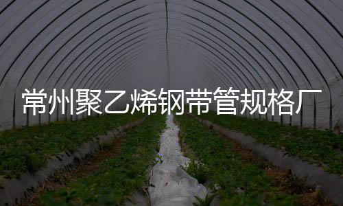 常州聚乙烯鋼帶管規格廠家