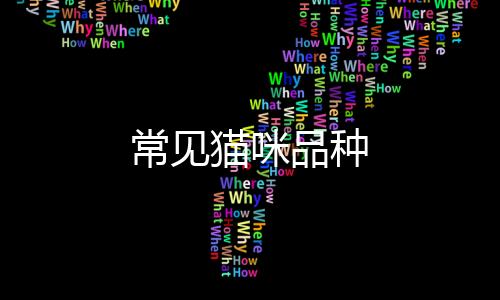 常見貓咪品種