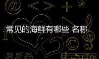 常見的海鮮有哪些 名稱，8大常見海鮮種類