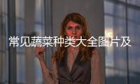 常見蔬菜種類大全圖片及名稱，常見蔬菜種類