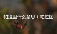 帕拉里什么意思（帕拉圖是什么意思）